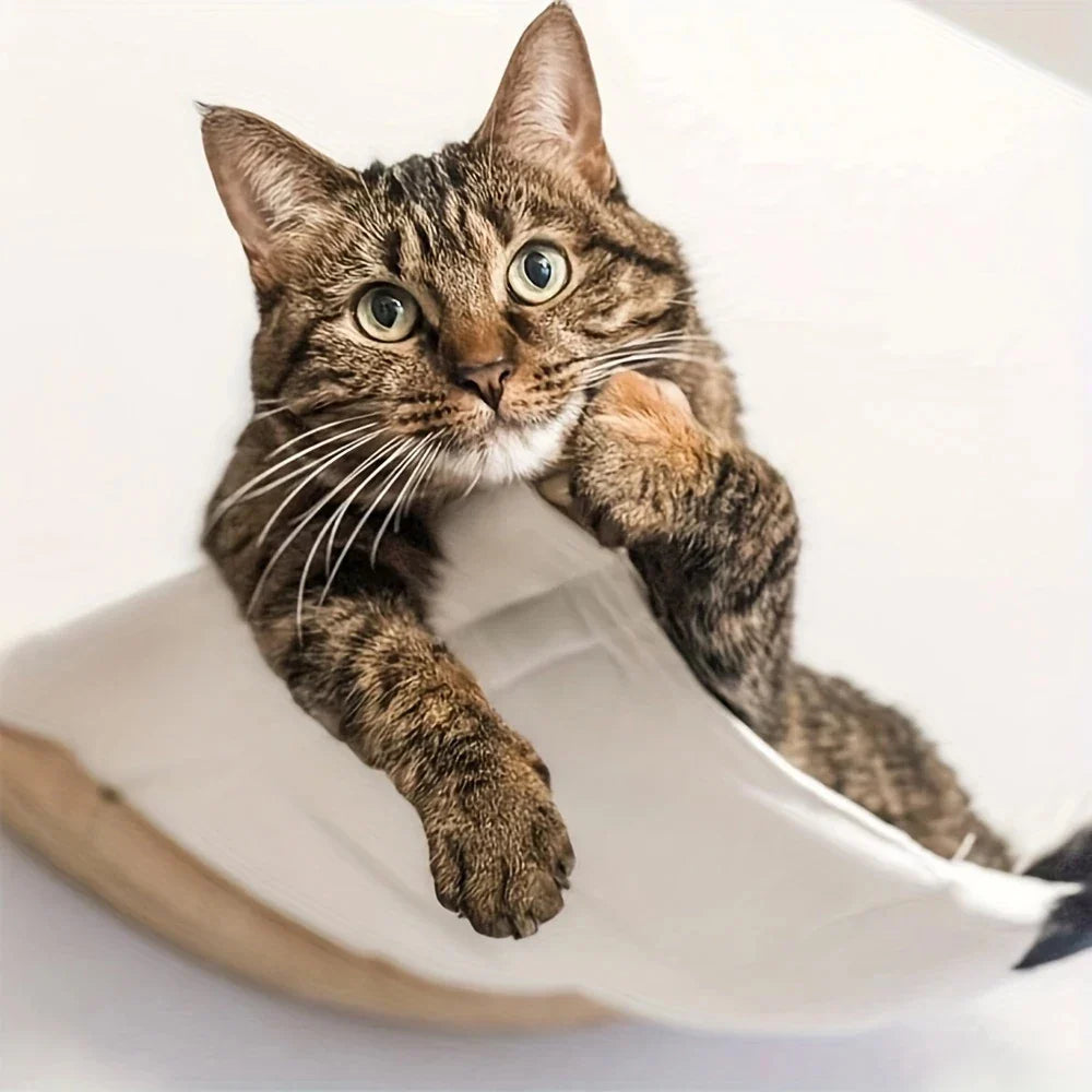 Cat Hammock Wall Mounted Cat Shelf Cat Wall - ProPawPet.com
