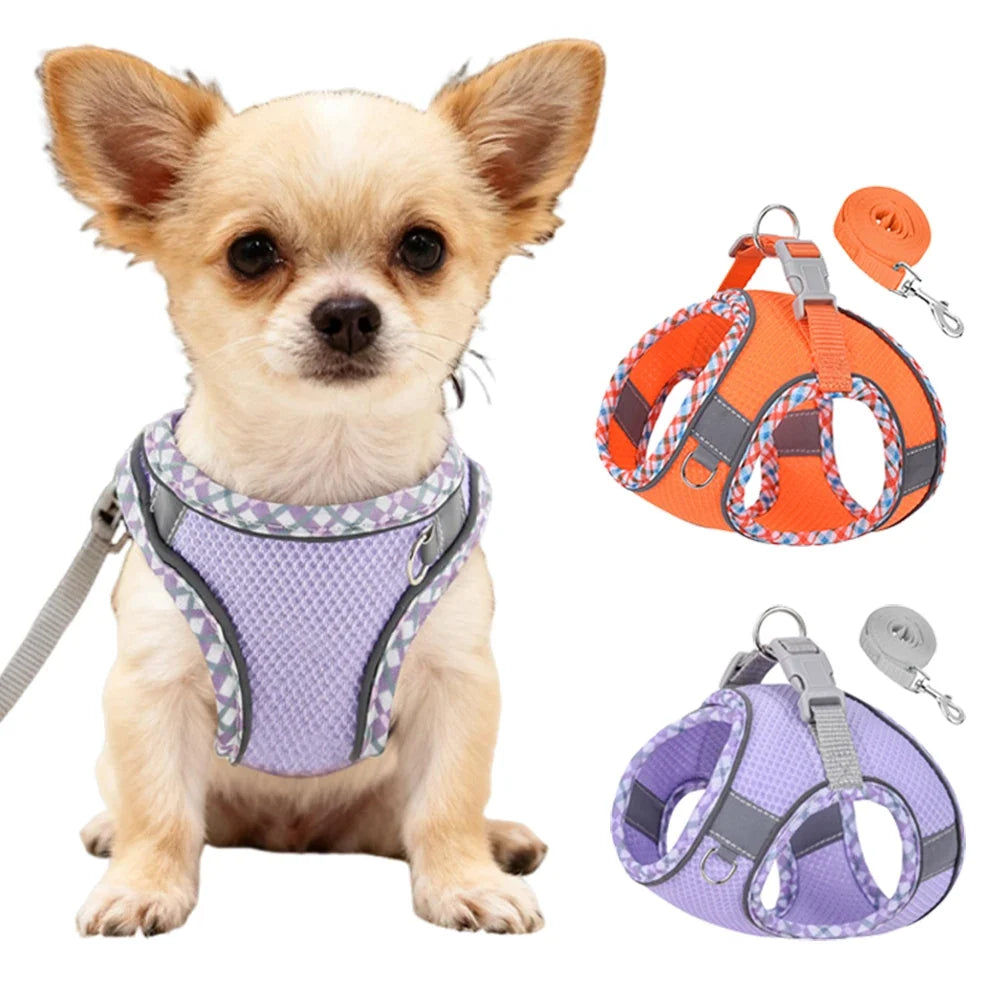 New Arrivals Cat Dog Harness and Leash Set - ProPawPet.com