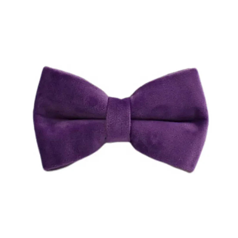 Purple Velvet Dog Collar And Leash Set For - ProPawPet.com