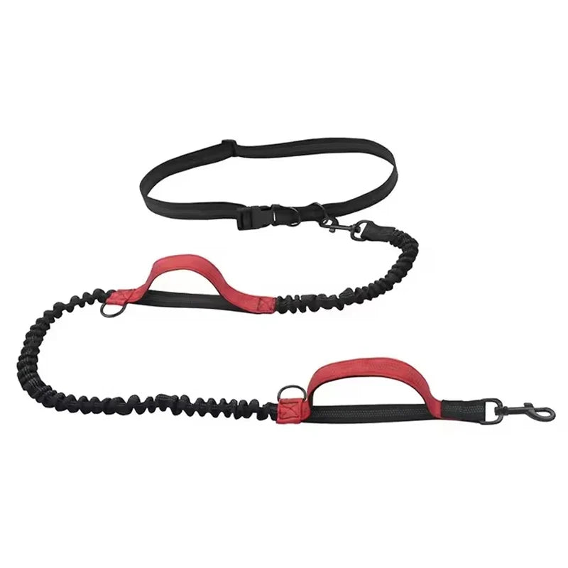 Outdoor Pet Dual Elastic Traction Rope, Reflective