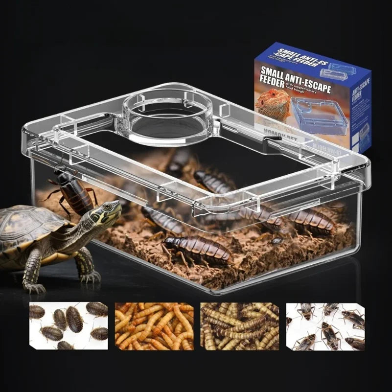 Reptile Feeder Lizard Turtle Gecko Feeding - ProPawPet.com