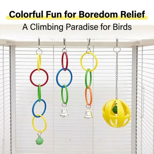 Parrot Climbing Rings Five-color Ring Bird - ProPawPet.com