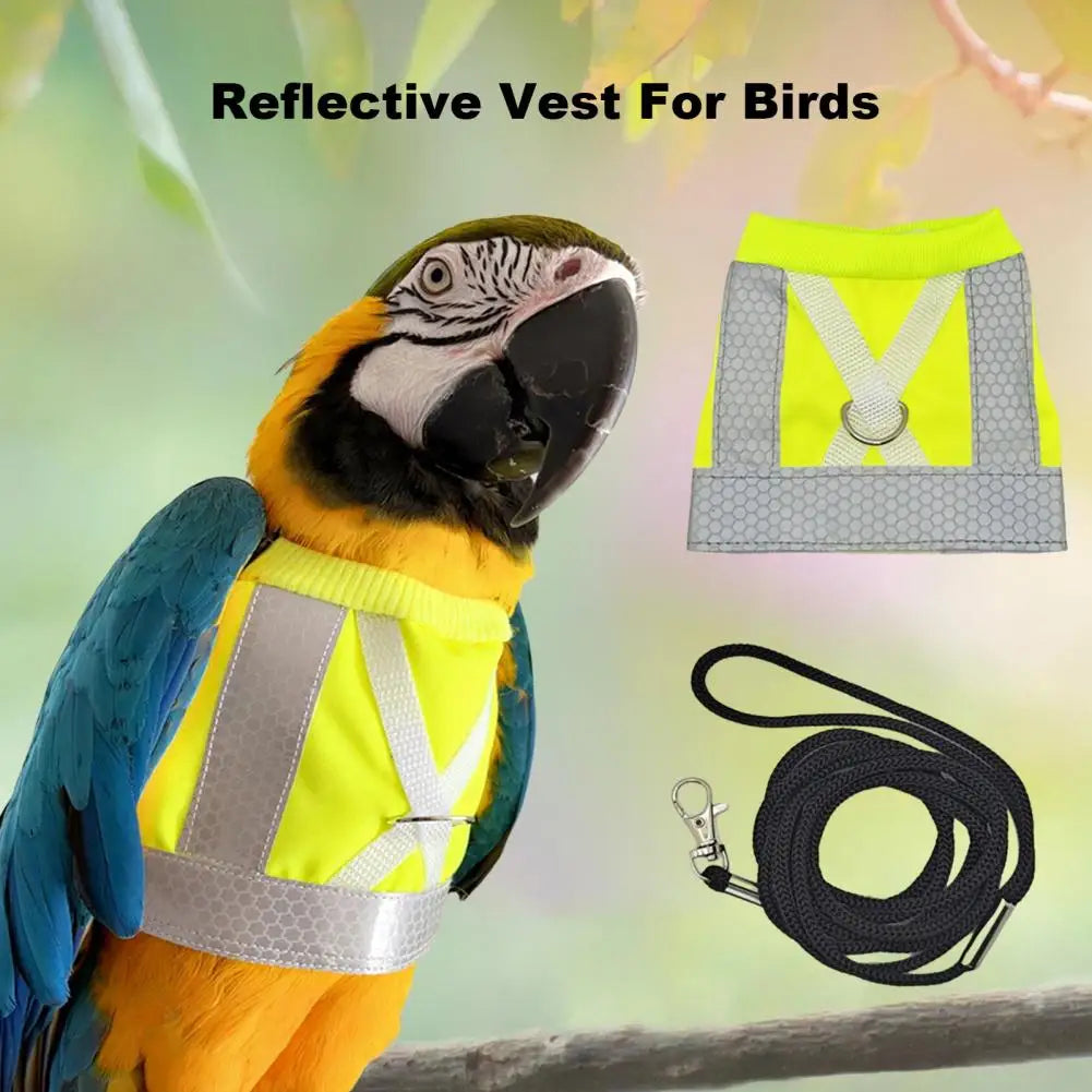 Bird Flight Harness Vest Parrot Suit Leash - ProPawPet.com