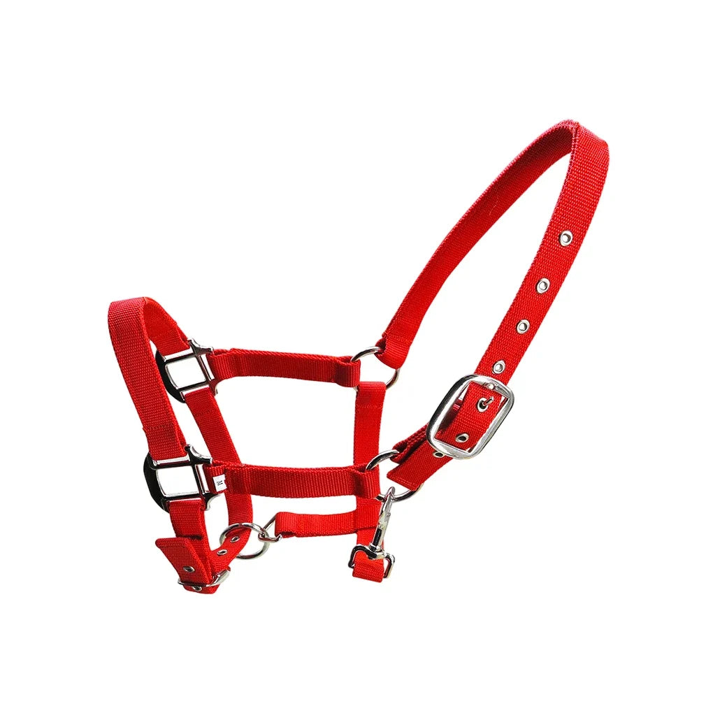 Padded Halter Pony Bridle Head Collar - ProPawPet.com