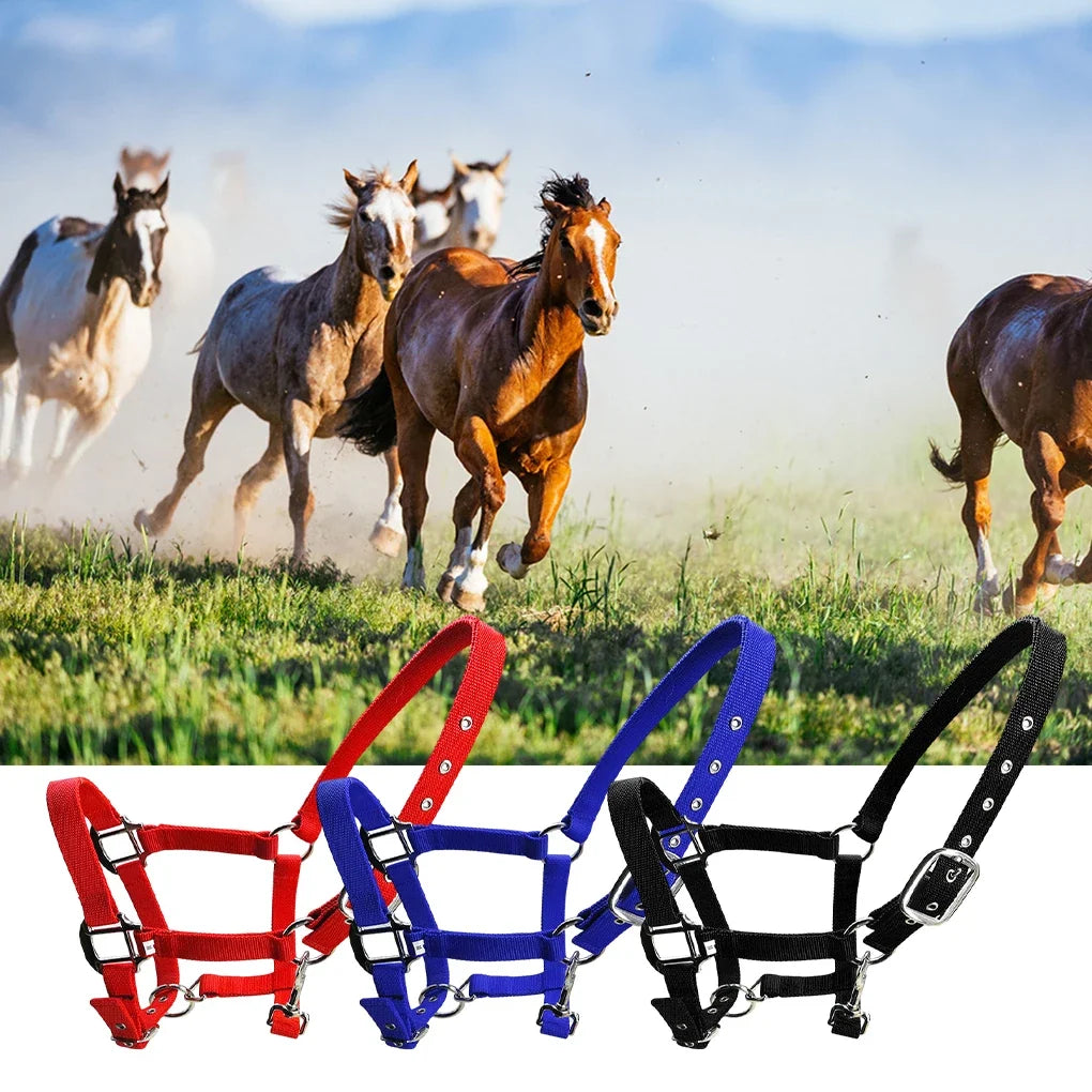 Padded Halter Pony Bridle Head Collar - ProPawPet.com
