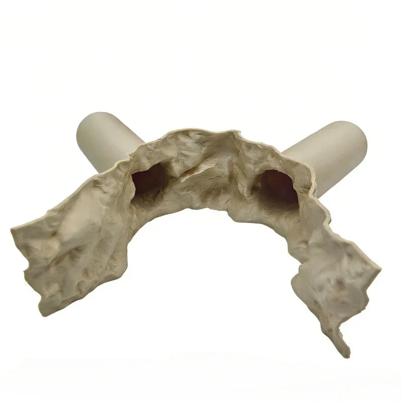 2-in-1 Water & Land Hiding Cave Tunnel for - ProPawPet.com