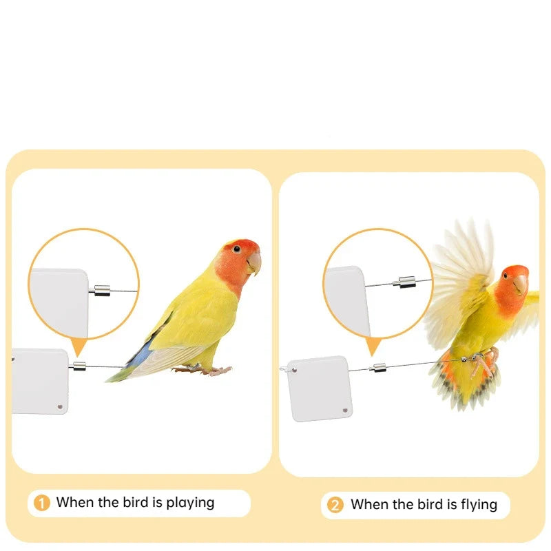 Cockatiel Harness And Leashes 2M Conures - ProPawPet.com