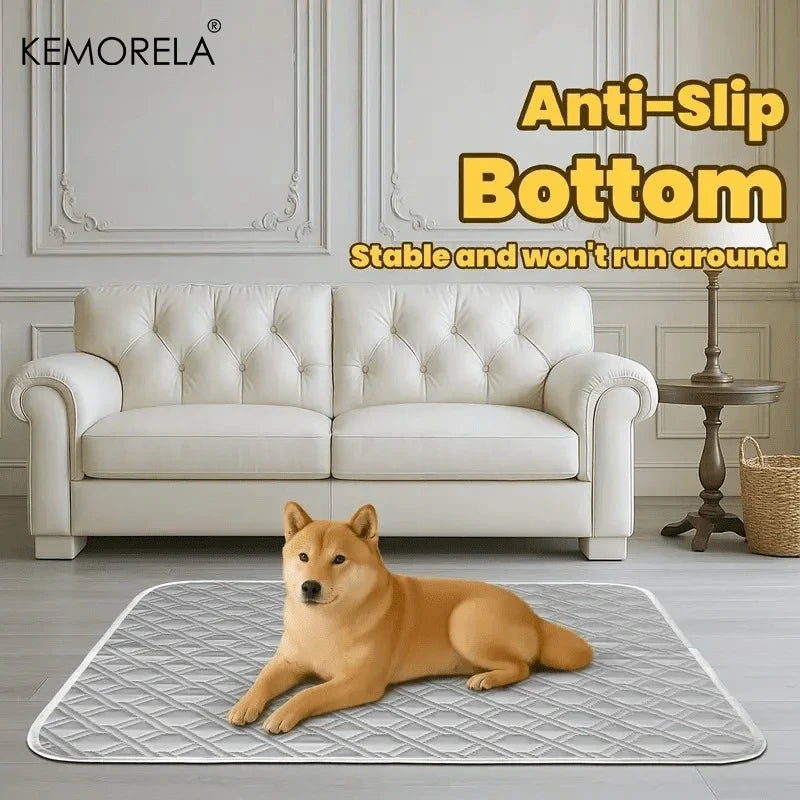 2PCS Washable Reusable Cat and Dog Urine - ProPawPet.com