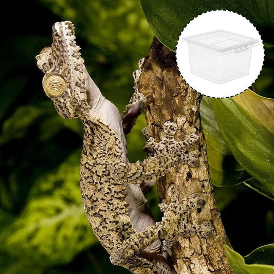 12Pcs Reptile Breeding Container Transparent - ProPawPet.com