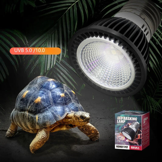 Reptile 110/220V UVB+UVA Light Energy-Saving - ProPawPet.com