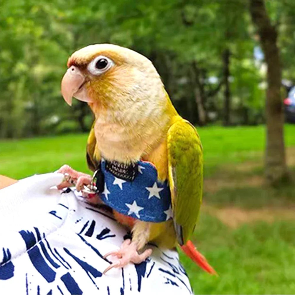 1Pc 11/15/13CM Comfortable Cowboy Parrot - ProPawPet.com