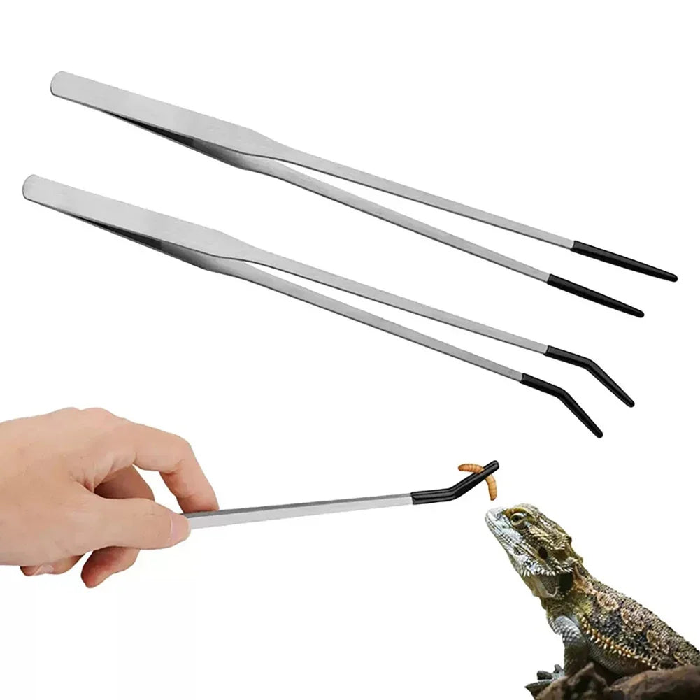 Stainless Steel Reptile Feeding Tongs with - ProPawPet.com