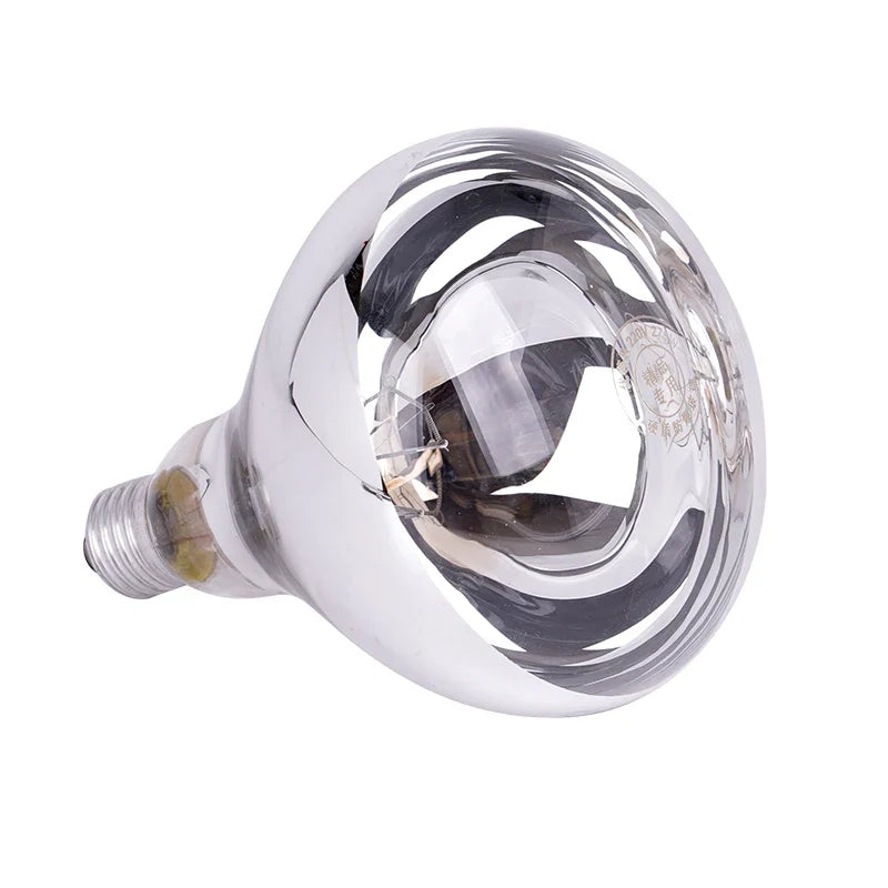 220V Heating Light Bulb Poultry Reptile - ProPawPet.com