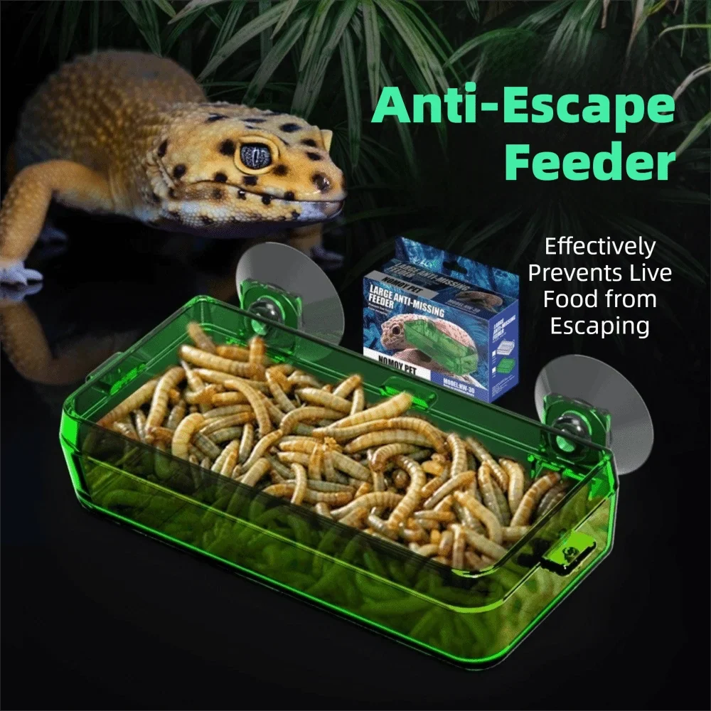 Anti-Escape Reptile Feeder Bowl Detachable - ProPawPet.com