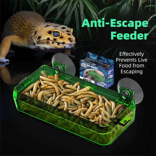 Anti-Escape Reptile Feeder Bowl Detachable - ProPawPet.com