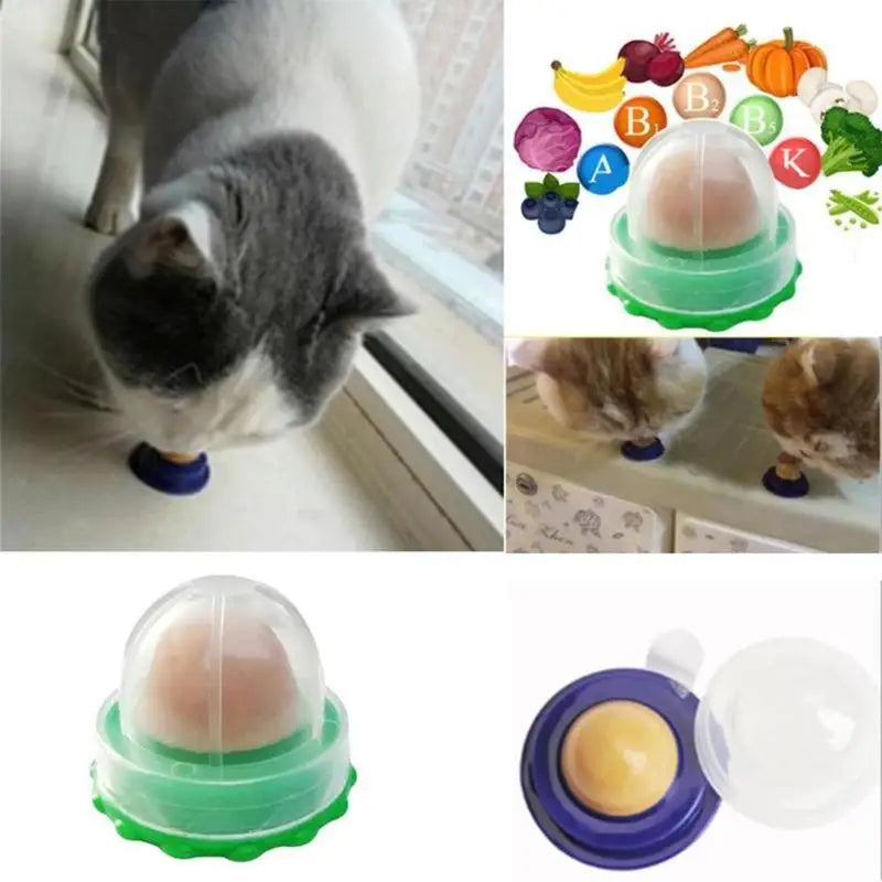 Cat Licking Catnip Ball – photo 3