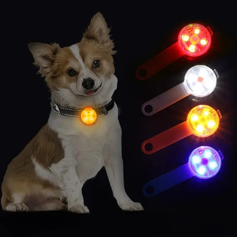 LED Light Dog Collar USB Charging Glowing - ProPawPet.com