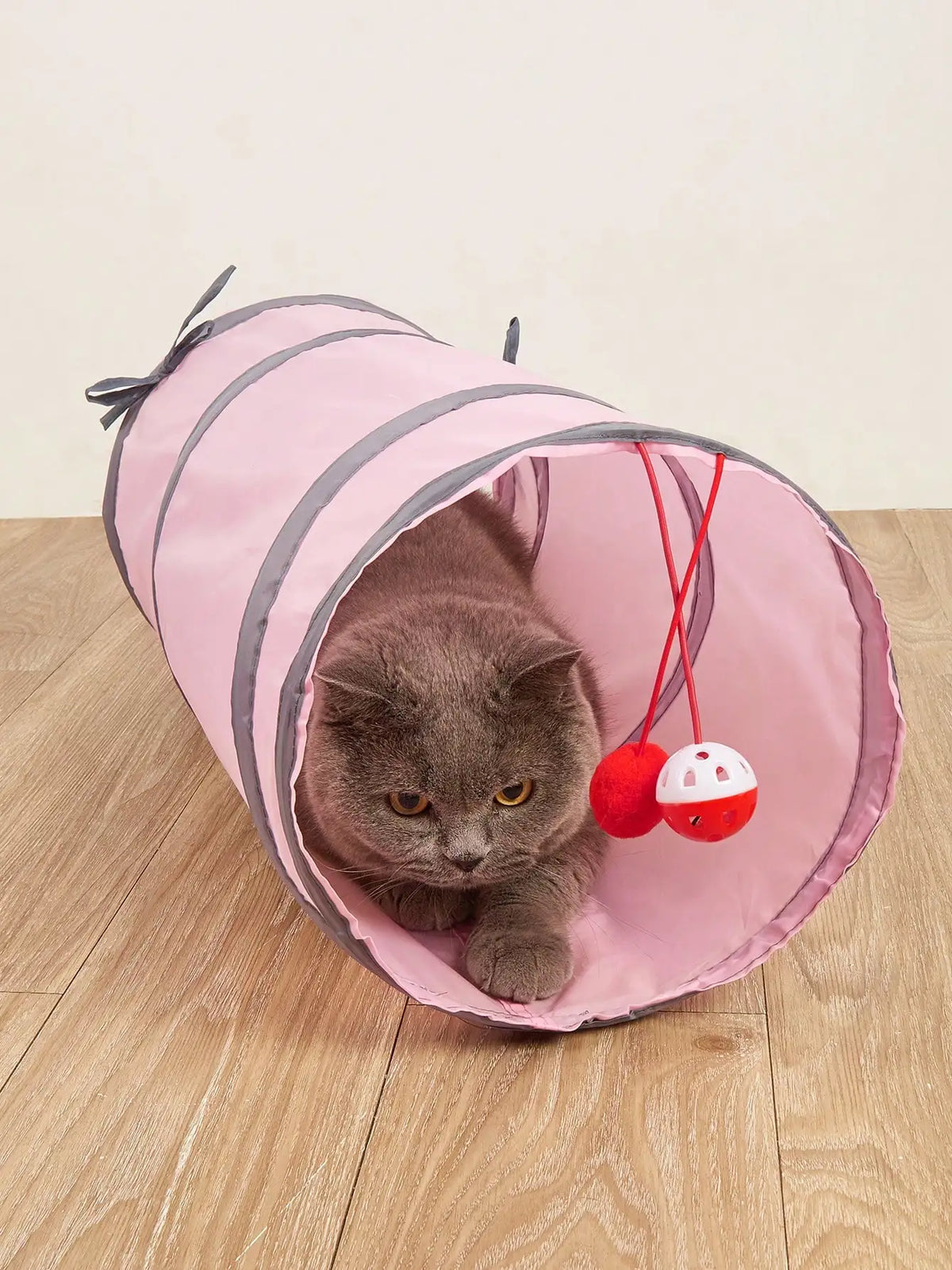 Cat Tunnel Toy, Detachable, Foldable, Easy - ProPawPet.com