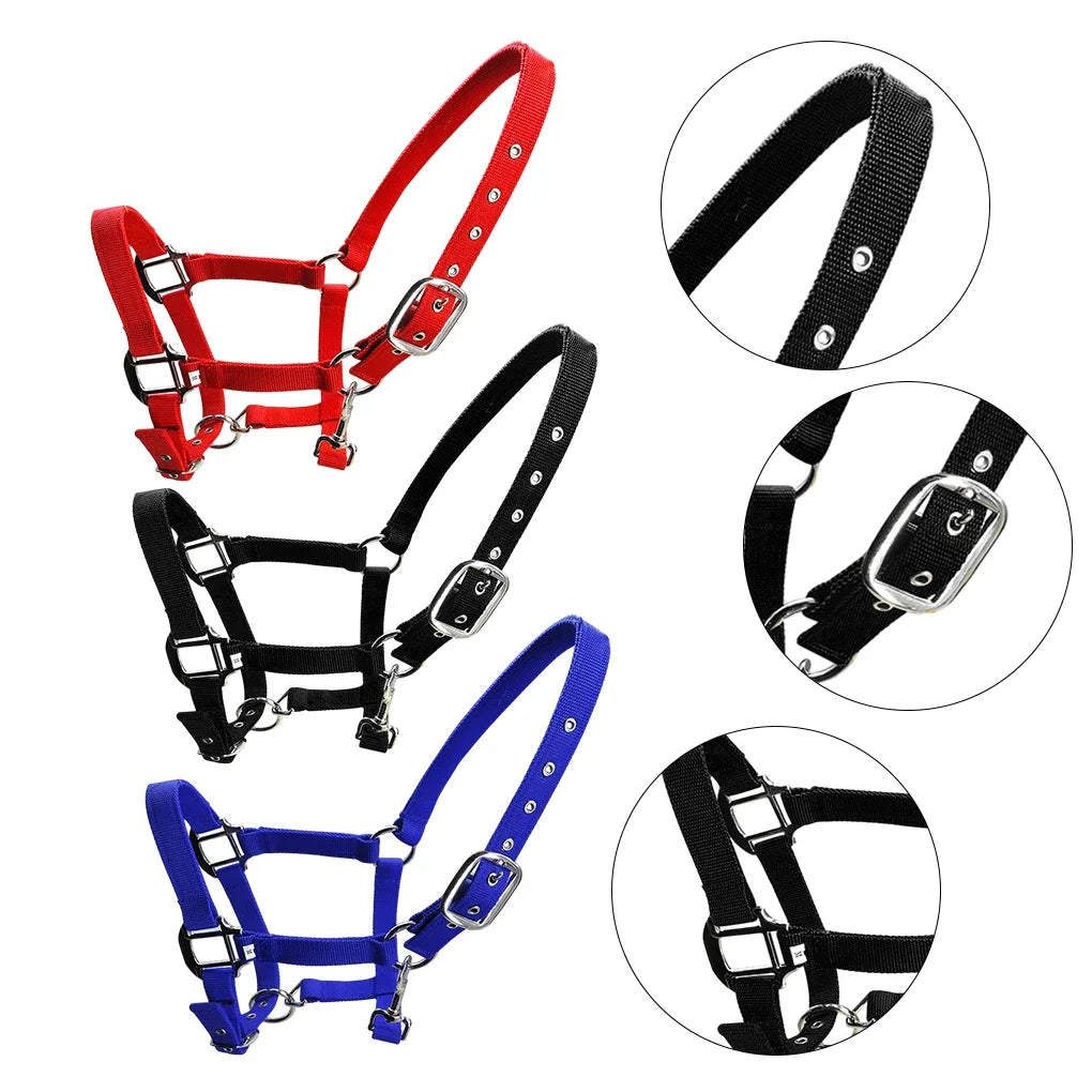 Padded Halter Pony Bridle Head Collar - ProPawPet.com