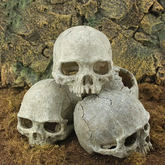 Realistic Artificial Skull Decor for Reptile - ProPawPet.com