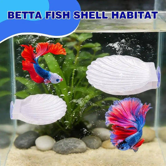 Betta Fish Shell Spawning Rest Platform With - ProPawPet.com