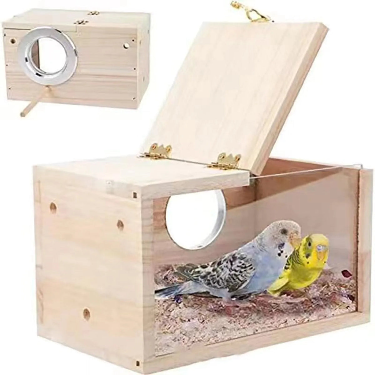 Transparent Design Parakeet Cockatiel Bird - ProPawPet.com