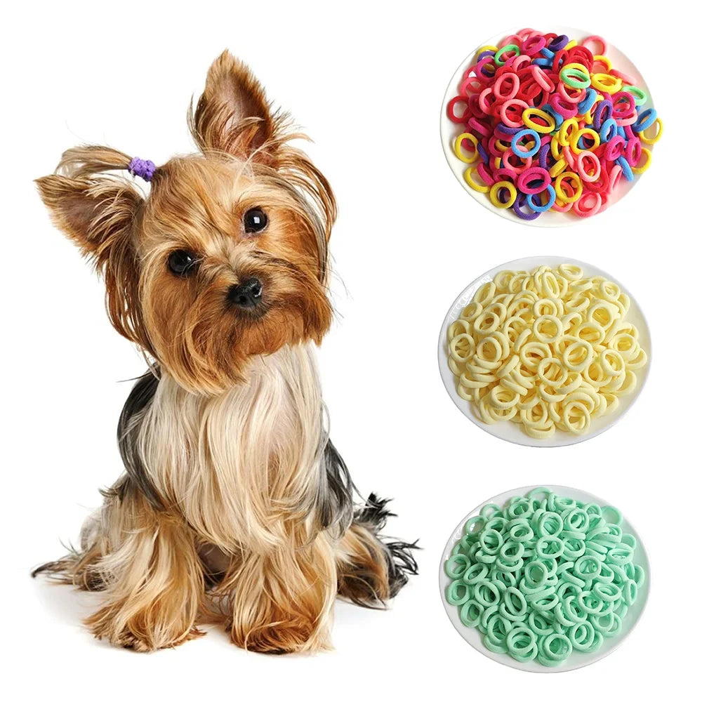 100pieces/Set Pet Elastic Hair Band Cute Dog - ProPawPet.com