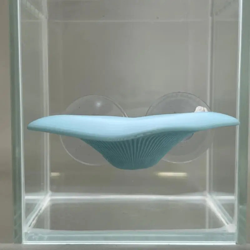 Mushroom Hammock Betta Fish Rest Bed - ProPawPet.com