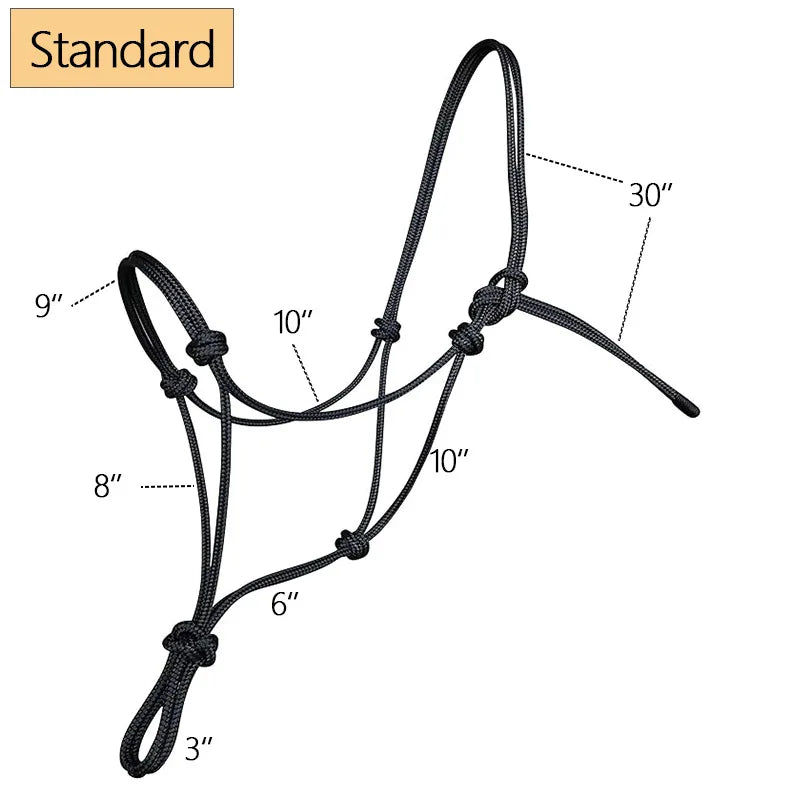 For Horses Style Training Halter Woven Horse - ProPawPet.com