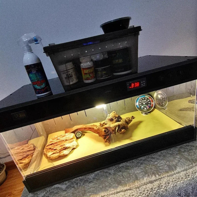 Thermostat Reptile Terrarium Turtle Lizard - ProPawPet.com