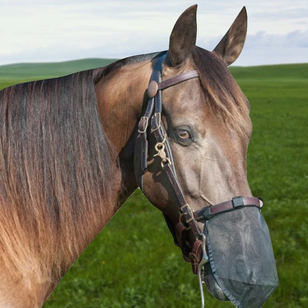 Horse Nose Mosquito Protection Mesh - ProPawPet.com