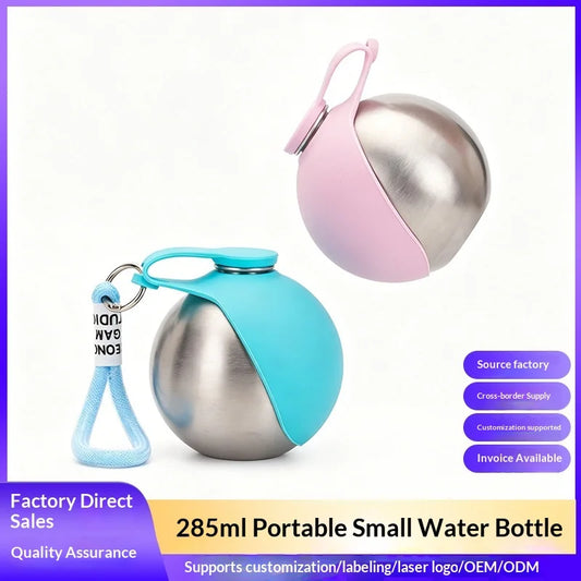 Portable Stainless Steel Pet Water Bottle - ProPawPet.com