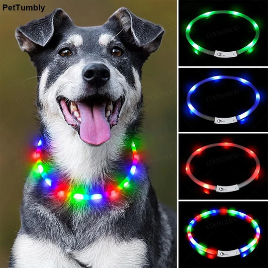 4 Modes Dog Luminou Charge Collar Led Usb - ProPawPet.com