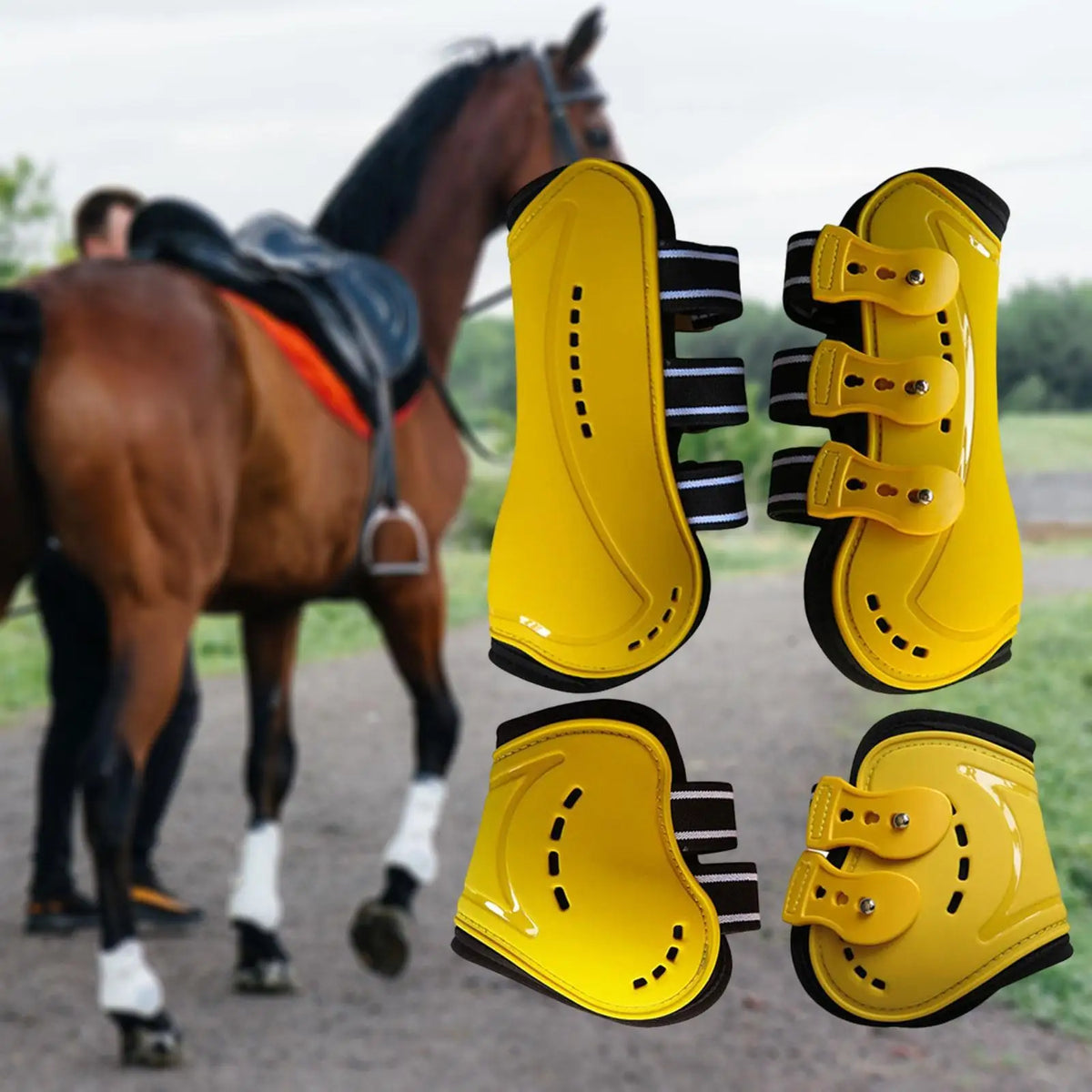 4Pcs Horse Boots Breathable Leg Protection - ProPawPet.com