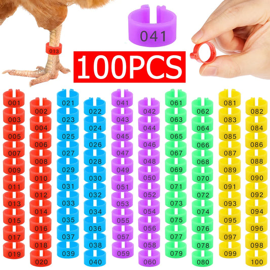 100pcs Chicken Leg Ring Colorful Plastic - ProPawPet.com