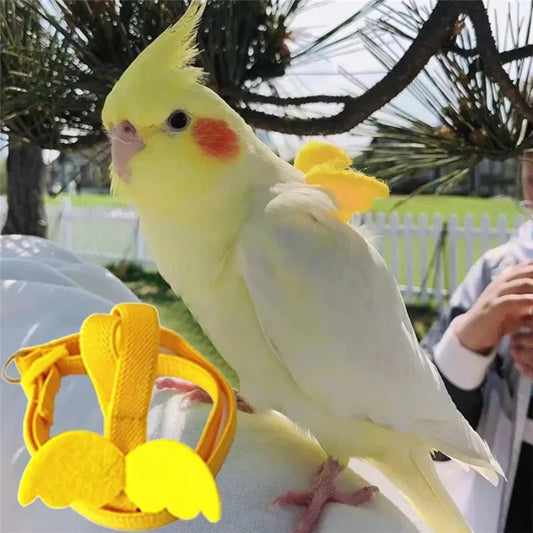 Adjustable Parrot Bird Harness Leash Set - ProPawPet.com