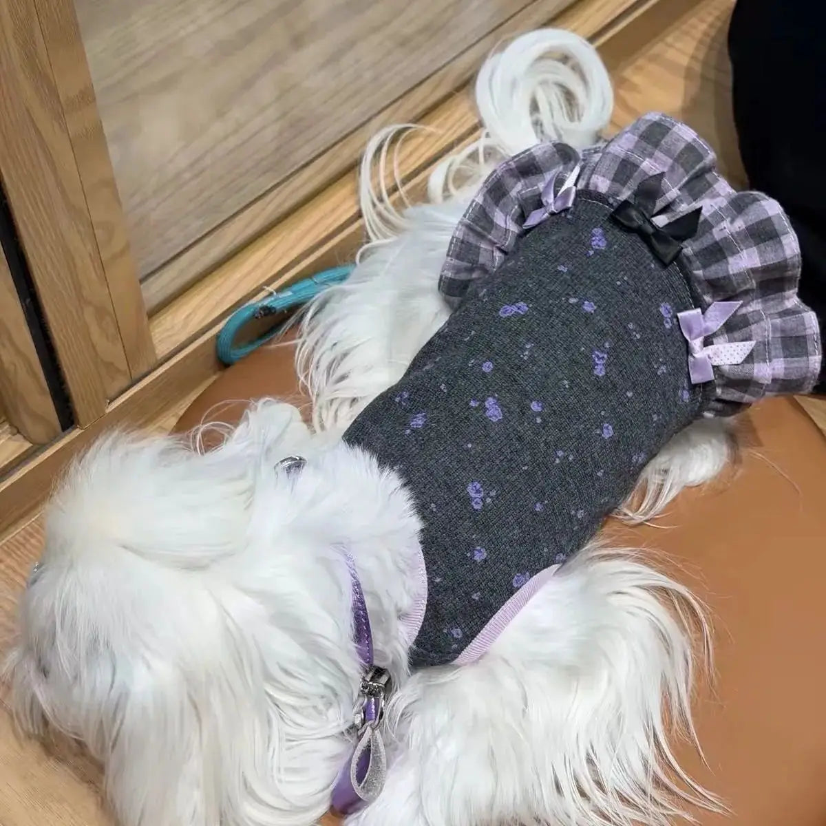 New Summer Cute Striped Pet Clothes for Dogs - ProPawPet.com