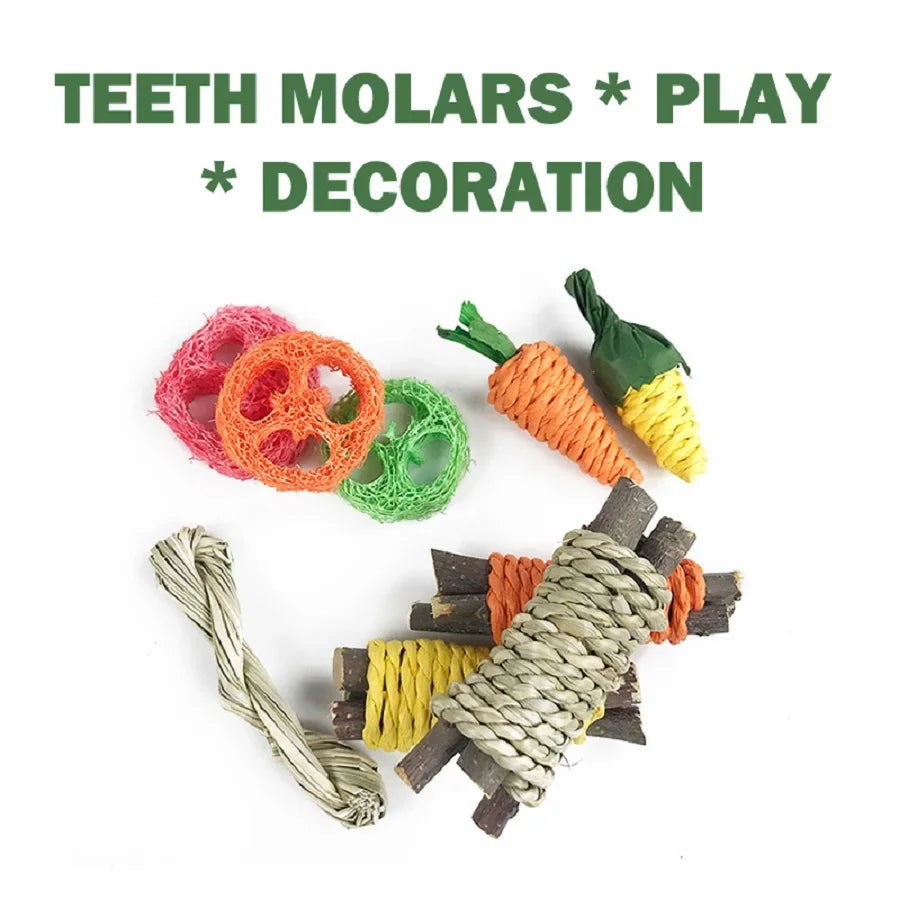 Pet Rabbit Guinea Pig Dragon Cat Fun Toy - ProPawPet.com