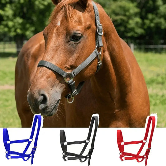 Professional Adjustable Horse Halter Nylon - ProPawPet.com