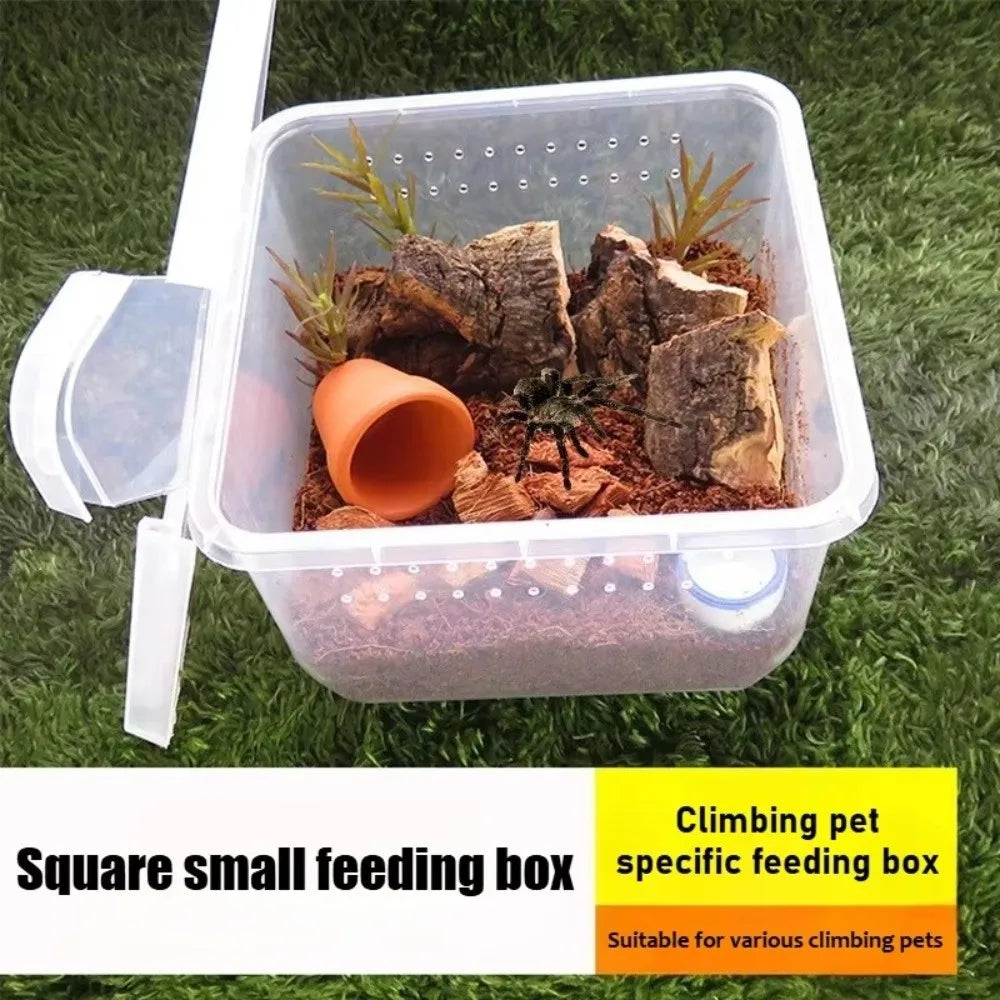 Clear Plastic Reptile Living Box Insect - ProPawPet.com