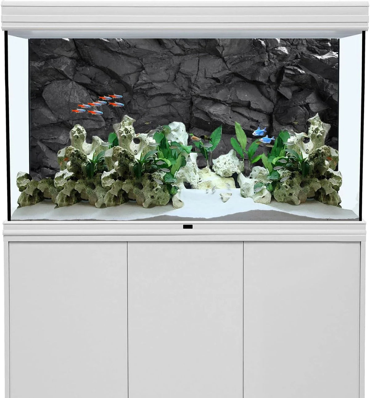 Black Rock, Fish Tank Background Painting, - ProPawPet.com