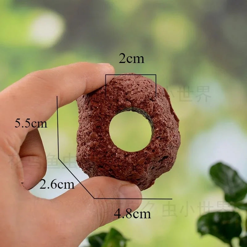 Aquatic Water Plant Fixed Rings Landscape - ProPawPet.com