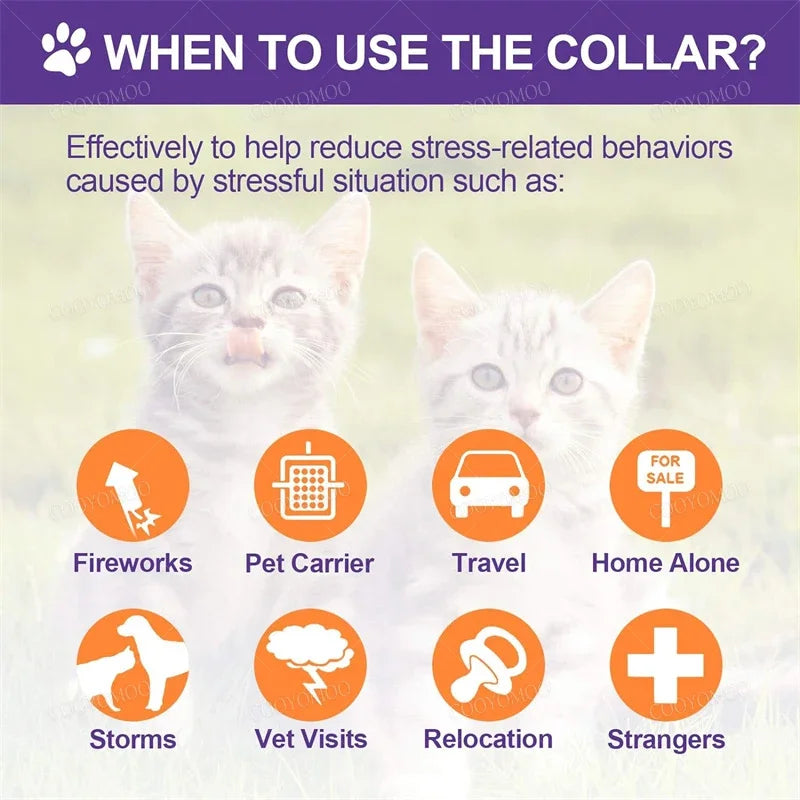 New Release Dog Calming Pheromone Collar Cat - ProPawPet.com