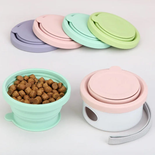3-in-1 Pet Feeding Set Silicone Bowl Snack - ProPawPet.com