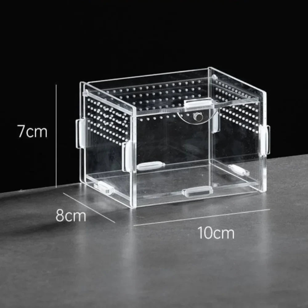 Durable Acrylic Reptile Habitat Clear Multiple Size Spider – 9 Colors
