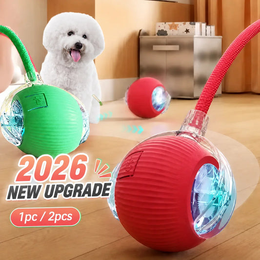New Dog Interactive Ball Toy,Automatic - ProPawPet.com