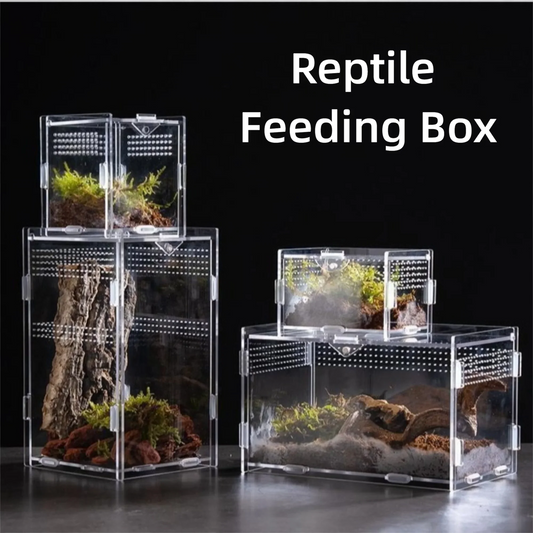 Durable Acrylic Reptile Habitat Clear - ProPawPet.com