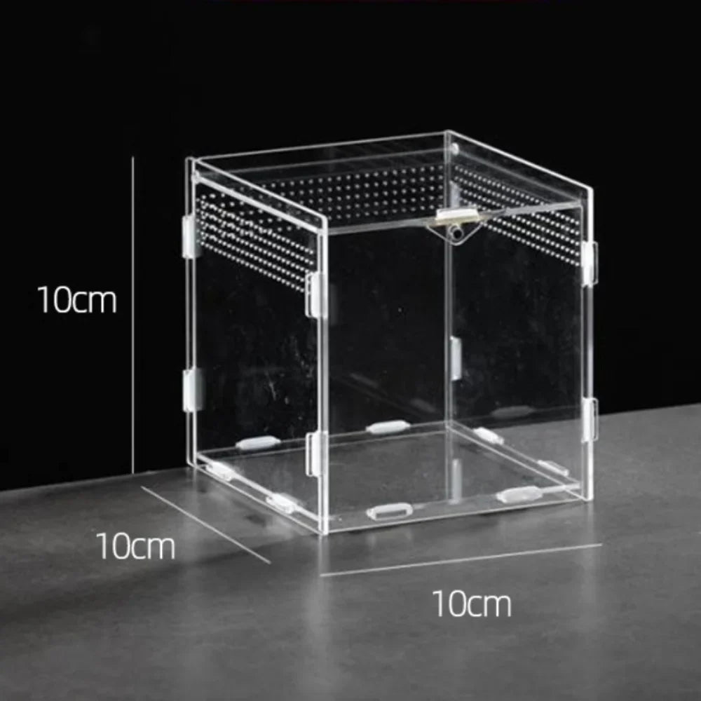 Durable Acrylic Reptile Habitat Clear - ProPawPet.com
