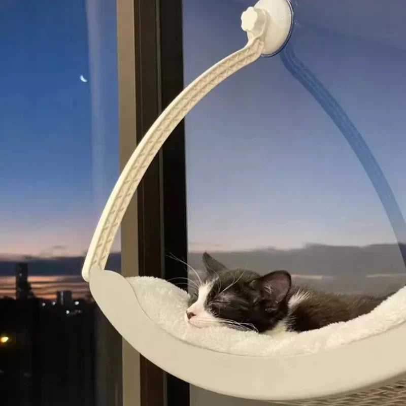 Cute Cat Hanging Beds Comfortable Sunny - ProPawPet.com