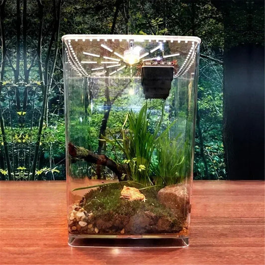 Transparent Acrylic Reptiles Pet Terrarium - ProPawPet.com